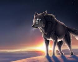 We hope you enjoy our growing collection of hd images to use as a. Lone Wolf Wallpapers Top Free Lone Wolf Backgrounds Wallpaperaccess