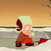 Tumblr is a place to express yourself, discover yourself, and bond over the stuff you love. Best Looney Tunes Gifs Primo Gif Latest Animated Gifs