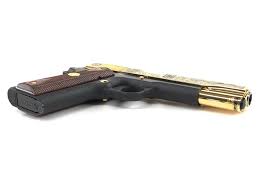 I set up a log for each of my 1911's on an excel spreadsheet. Lot Colt Defenders Of Freedom 1911 A1 45 Ltd Ed Pistol