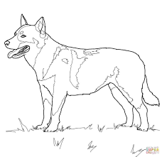 Unlike some breeds, there are a variety of german shepherd colors and markings to choose from within this breed. German Shepherd Dog Coloring Pages German Shepherd Sitting Coloring Home