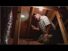 The pesticides we ship are fully registered, sourced from, and used by some of the best pest control companies in the world, and have been used in. Attic Pest Removal Strategies Identifying Noises Contol Tips Prices