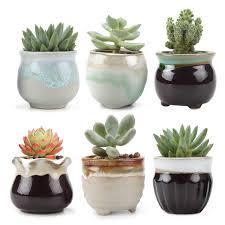 Find premade arrangements for your home decor like these adorable, miniature artificial green boxwood topiaries in flower pots partially covered in moss. Amazon Com T4u 2 5 Inch Ceramic Flowing Glaze Black White Succulent Plant Pot Cactus Plant Pot Flower Pot Container For Christmas And Birthday Gifts And Home Decoration Pack Of 6 Excluding Plants Garden Outdoor