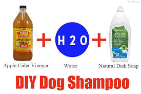 Maybe you would like to learn more about one of these? Diy Dog Shampoo All Natural Non Toxic