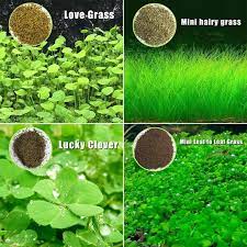 Plant Seeds Fish Tank Aquarium Aquatic Water Grass Decor Garden Foreground Plant In 2021 Fish Tank Plants Aquarium Grass Aquarium Garden