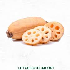 Akar teratai merupakan akar dari pohon teratai yang hidupnya mengambang di atas air. Jual Akar Teratai Lotus Root 500gr Jakarta Pusat Eka Guna Utama Tokopedia