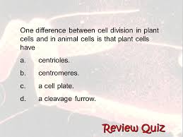 Plant cell vs animal cell. Chapter 5 Cell Growth And Division Ppt Download