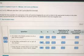 Bioflix Activity Mitosis The Cell Cycle Solved Me Work 5 Chapters 12 And 13 Mitosis Cell Cycle A Chegg Com