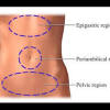 The endocervix or cervical canal is made up of. 1