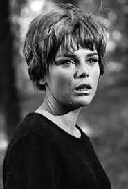 Perry Mason" The Case of a Place Called Midnight (TV Episode 1964)