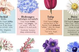 The Hidden Meanings Behind 50 Flower Names Considerable Considerable In 2020 Flower Names Flower Meanings Beautiful Flower Names