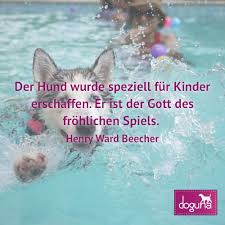 Pin On Schone Hundebilder