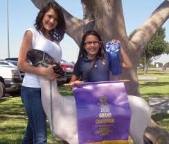 Nov. 2 general, special election results tallied