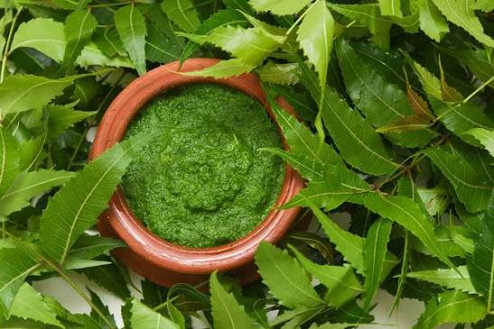 25 Best Herbs for Hair Growth and Thickness