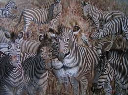 Hidden Lion Optical Illusion Illusion Pictures Optical Illusions Pictures Illusions