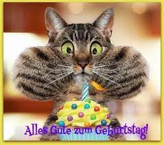 Lustige bilder von katzen, um zum geburtstag zu gratulieren es muss anerkannt werden, dass katzen die ungeschicktesten und lustigsten tiere sind, denen wir begegnen können. Lustige Geburtstagsbilder Kostenlos Katzen Geburtstag Lustige Geburtstagsbilder Geburtstag Bilder Lustig