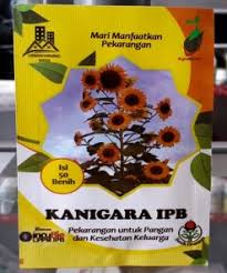 Bunga matahari (helianthus annuus) merupakan jenis tanaman semusim yang sering dimanfaatkan sebagai sumber minyak nabati, cemilan, dan tanaman hias. Jual Bibit Bunga Matahari Online Bibitbunga Com