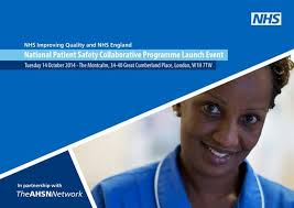 The Saskatchewan Surgical Initiative: Lessons Learned