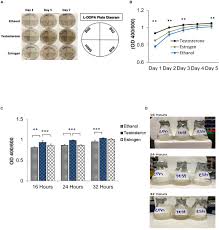 Where does dr.garrett from integrity eye care work? Frontiers The Role Of Testosterone And Gibberellic Acid In The Melanization Of Cryptococcus Neoformans Microbiology