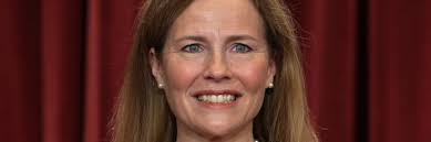 A Cat Named Remy Who Lives At Harvard Law School Is Melting Hearts All Over  Twitter 😻