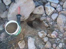 I Like To Use A Minelab Trowel Because It Won T Bend And It Has A Serrated Side To Saw Through Roots Ad Old Mu Gold Prospecting Kinds Of Minerals Rock Hunting