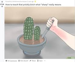 When maxwell memes post isn't on the first page of the general discussion you asked for it and dear god my eardrums are not happy xd. Wikihow Memes Will Teach You Nothing And Make You Laugh 45 Memes