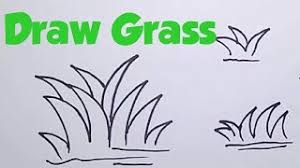 Is the grass forever greener on the other. How To Draw Easy Grass For Kids Easy Step By Step Drawing Grass Youtube