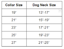 Warner Brand Dayglo Dog Collar 1