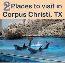 Visit These 2 Family Friendly Places In Corpus Christi Texas These Fun Destinations Are Close To Port Texas Vacations Popular Beach Vacations Mustang Island