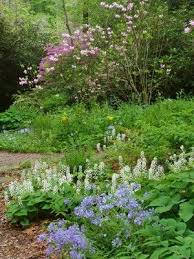 Native Planting Gardens Massachusetts Beautiful Gardens Garden In The Woods Woodland Garden