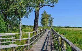 It is surrounded by moorland, partially overgrown with reeds. Am Federsee Bei Bad Buchau In Oberschwaben
