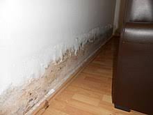 Was tun, wenn schimmel in der wohnung vorhanden ist? Schimmelpilz In Gebauden Wikipedia