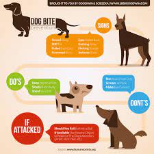 Pin On Dog Bite Injury