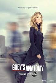 Spoilertv Greys Anatomy Season Watch Greys Anatomy Grey S Anatomy