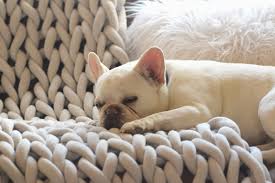 Our huge range has been specially curated to bring you the best knitting and crochet yarn from brand favourites including <a. How To Easily Knit A Big Yarn Blanket Mama In A Stitch