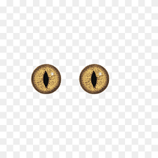 Check spelling or type a new query. Anime Eyes Png Images Pngwing