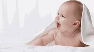 Cháo tôm rau ngót món ăn dặm phổ biến và giàu dinh dưỡng