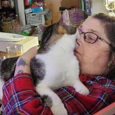 Adopting a fixed chubby cat