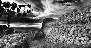 Enzo Rado vince la medaglia d'oro del Premio Internazionale Ischia ...