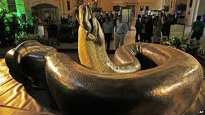 Titanoboa, the enormous serpent of legend, thrived in the tropical jungles of south america some five million years after the extinction of the dinosaurs. Giant Prehistoric Titanoboa Snake Could Return Cbbc Newsround