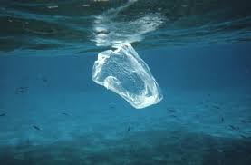 Google earth has placeholder images for much of the water showing some of the very basic bathymetry (undersea terrain) data we have. Reflections On The Great Pacific Garbage Patch