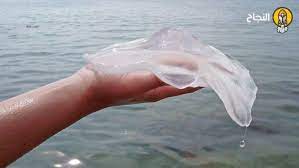 الإسعافات الأولية للسعة قنديل البحر animals image