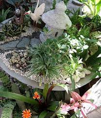 Dish Garden In Manila Mini Garden Dish Garden Miniature Garden