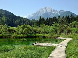 Zelenci Nature Reserve Outdoor Natural Landmarks