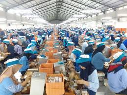 Mitigasi PHK Diperkuat untuk Menjaga Ekonomi Rakyat