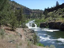 Maybe you would like to learn more about one of these? Pin By Laura Thomas On Beautiful Places Oregon Mossy Forest Beautiful Places
