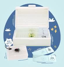 Some bugs use teamwork to survive. Thestemkids Microscope Slide Kits With Real Beetle Thestemkids