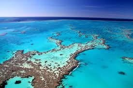 Während ihrer reise nach australien, verpassen sie nicht : Sehenswurdigkeiten Australien Alle Highlights Im Uberblick