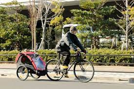 自転車で引く チャイルドトレーラー ハニービー の快適さに子どもが大喜び 価格 comマガジン 自転車 自転車 チャイルドシート トレーラー
