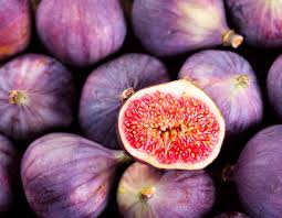 Get ready to love your scrubs! Figs Jesmond Fruit Barn Shop Online Now Or In Store