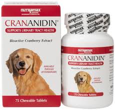 Maybe you would like to learn more about one of these? Crananidin Lodi Veterinary Care